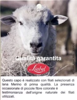 Maglia Uomo Girocollo Lanacotone Liabel 5321 23 5 Maglia Uomo Girocollo Lanacotone Liabel 5321 23 -Sconto Enrico Coveri photo 2018 06 01 15 28 57 1